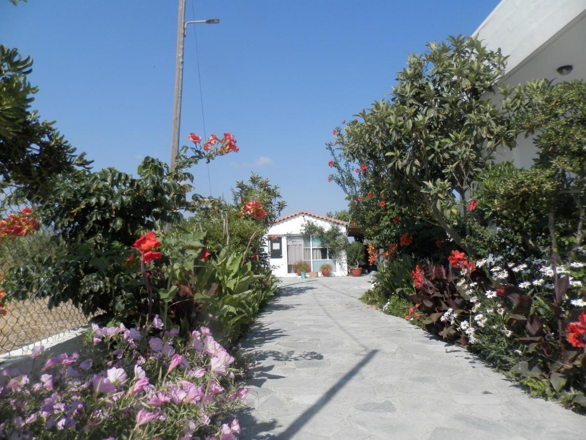 Silvi Mari Apartments Platanes  Dış mekan fotoğraf