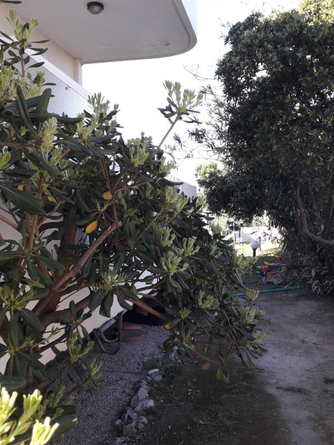Silvi Mari Apartments Platanes  Dış mekan fotoğraf