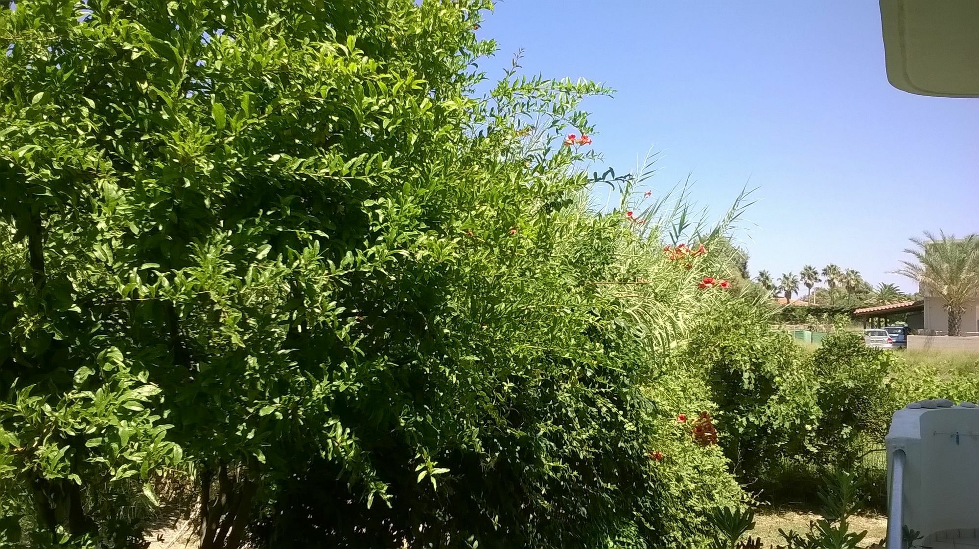 Silvi Mari Apartments Platanes  Dış mekan fotoğraf